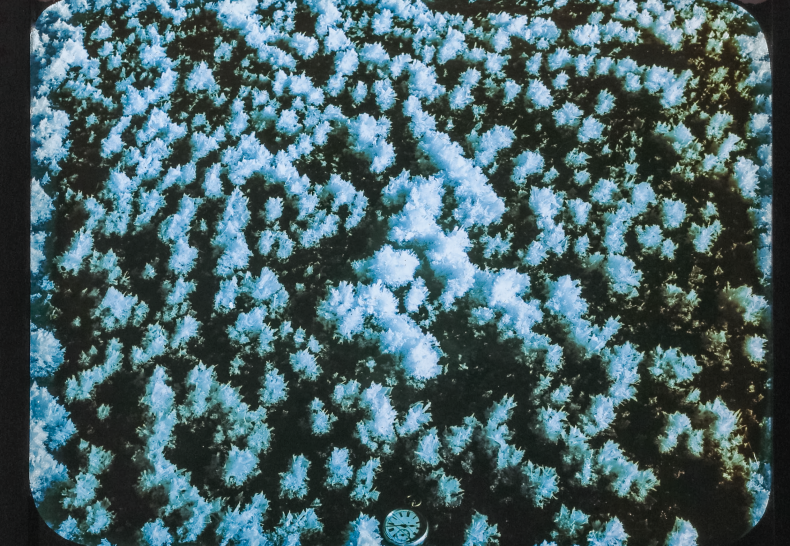 Österreichisches Volkshochschularchiv