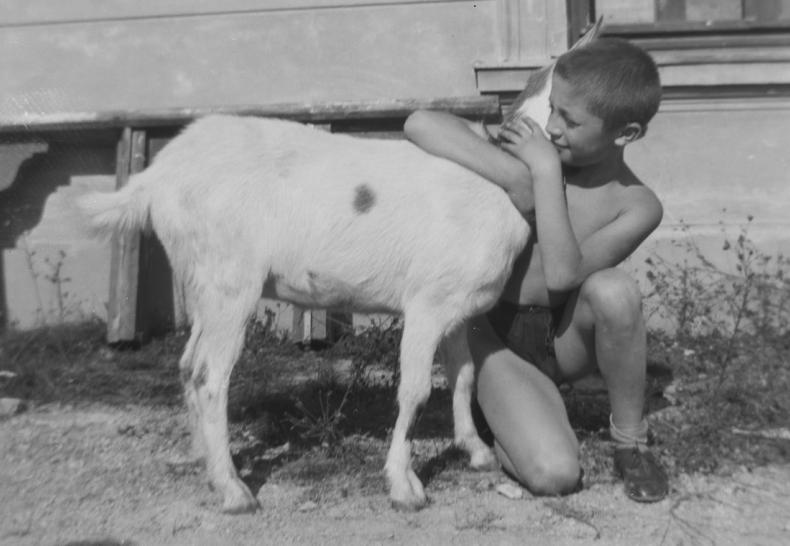 Österreichische Nationalbibliothek, Bildarchiv; OeLFD, Inv. Nr. 46680 / Zahl 59.