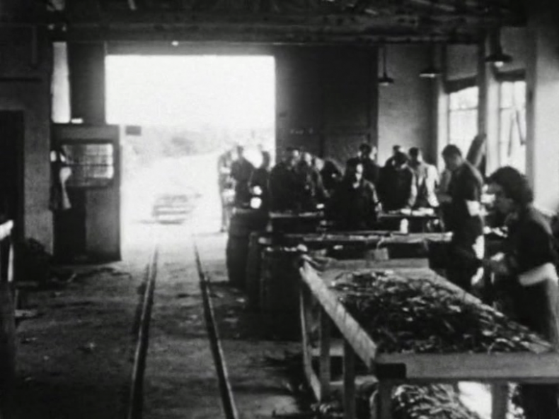 ‚Industrial film‘: RESPITE, Harun Farocki, D/KOR 2007