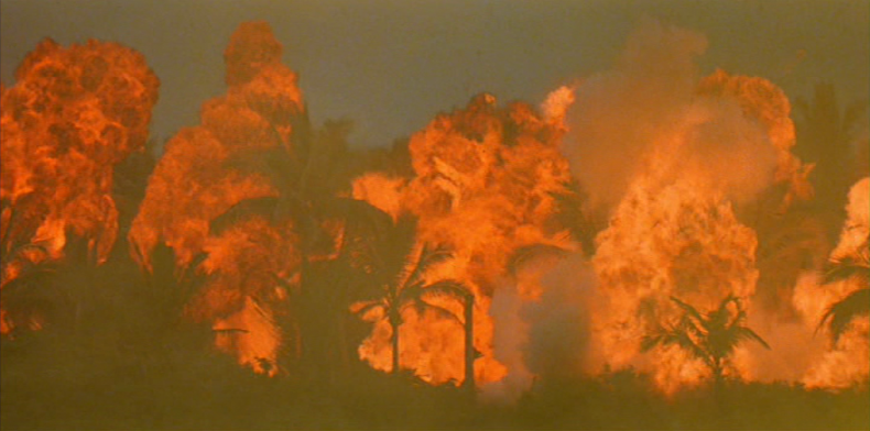 Opening sequence: APOCALYPSE NOW, Francis Ford Coppola, USA 1979