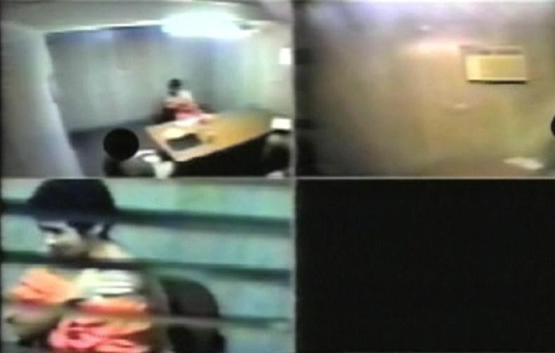 YOU DON’T LIKE THE TRUTH, Luc Côté and Patricio Henriquez, AU/CA/UK 2010