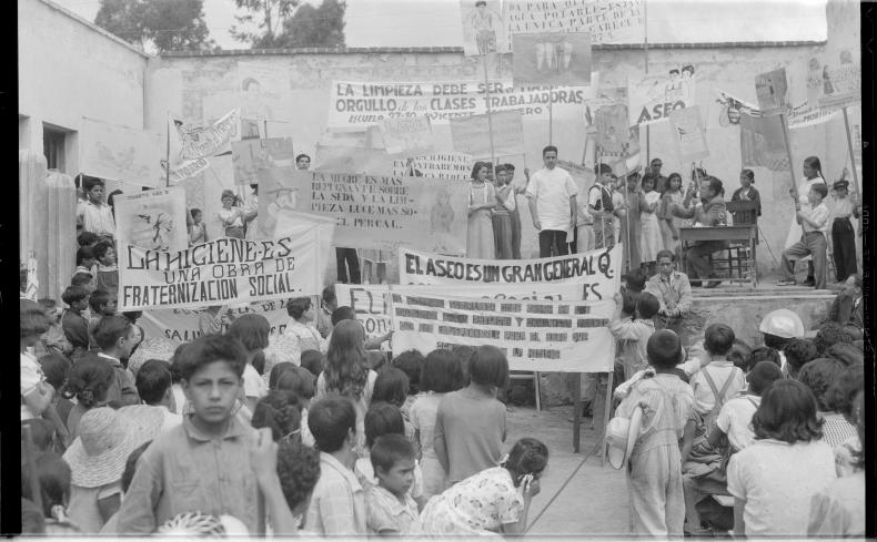 Public health festival