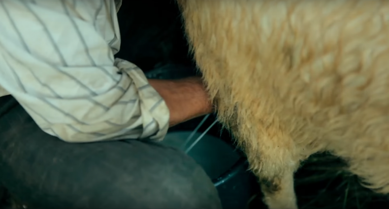 Rhythm of Everyday Life: LIFE IN A DAY, Kevin Macdonald, UK/US 2011