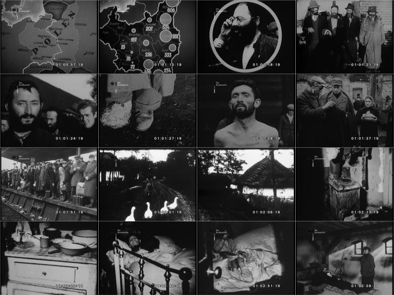 KAMPF DEM FLECKFIEBER