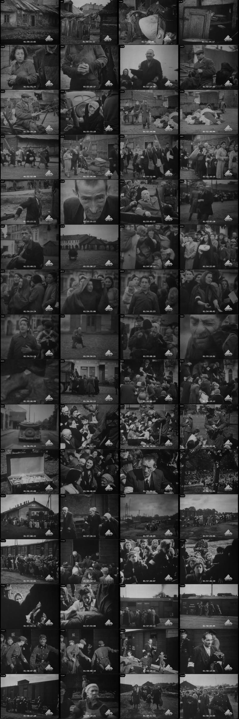 DEPORTATION OF POLISH JEWS - WFDIF