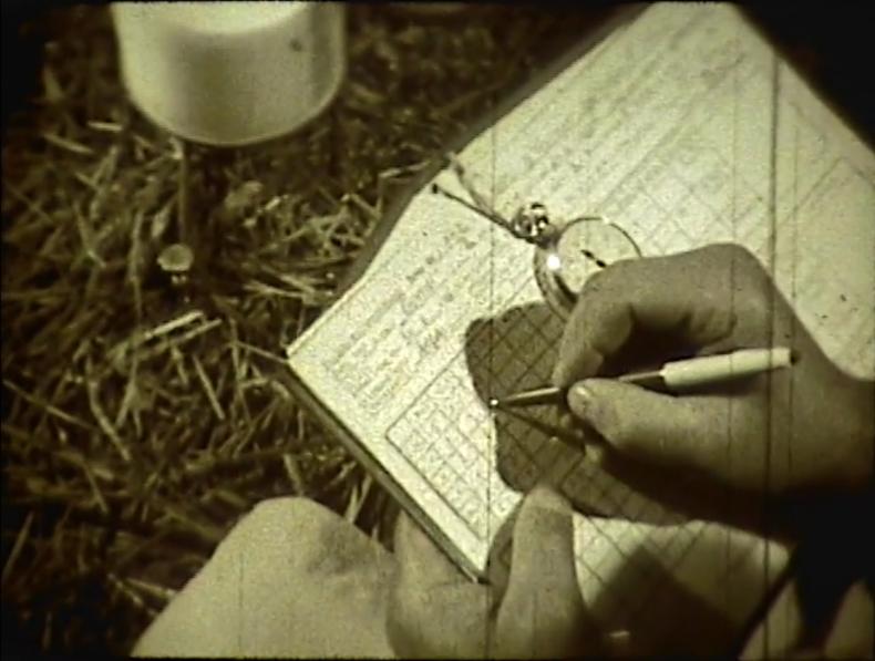 MILCHLEISTUNGSKONTROLLE, Helmut Engel, AT 1964