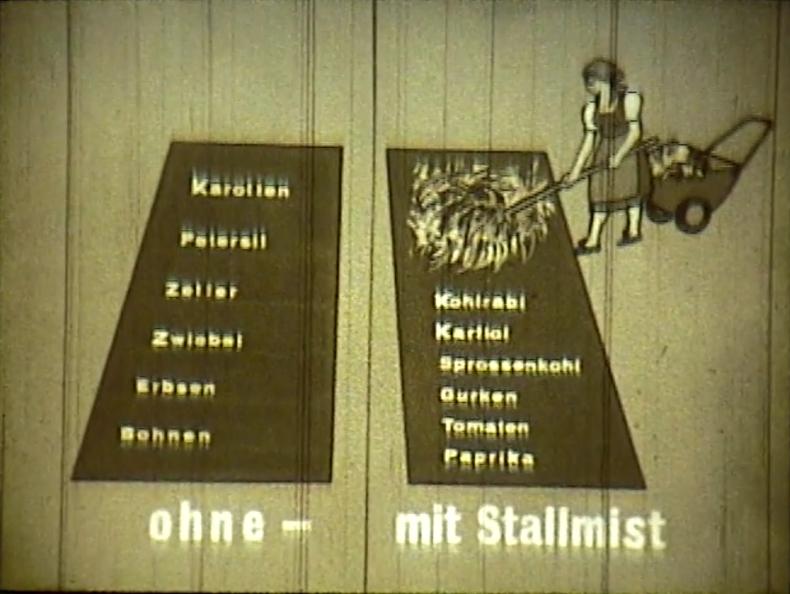 GEMÜSEGARTEN DER BÄUERIN, Helmut Engel, AT 1964