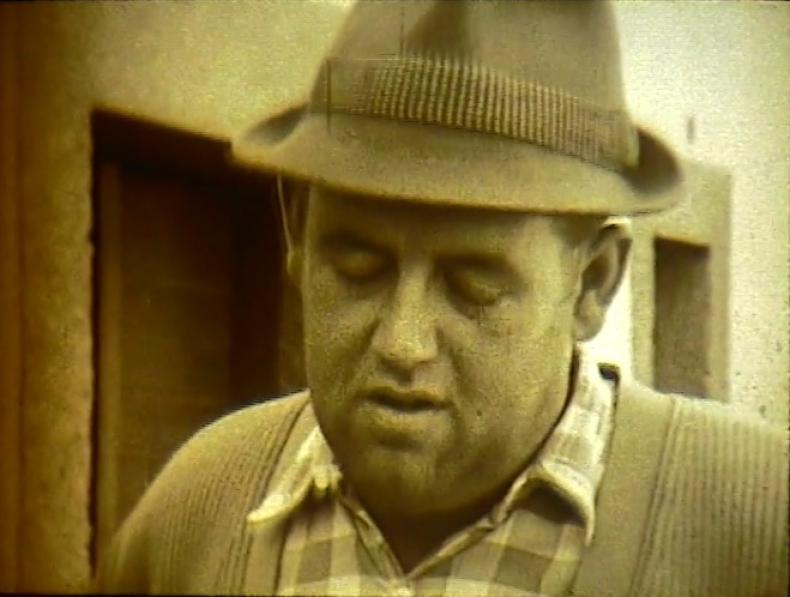 WEINBAU UND BETRIEBSWIRTSCHAFT, Helmut Engel, AT 1966