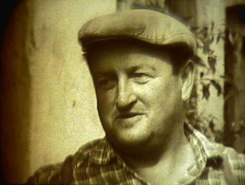 WEINBAU UND BETRIEBSWIRTSCHAFT, Helmut Engel, AT 1966