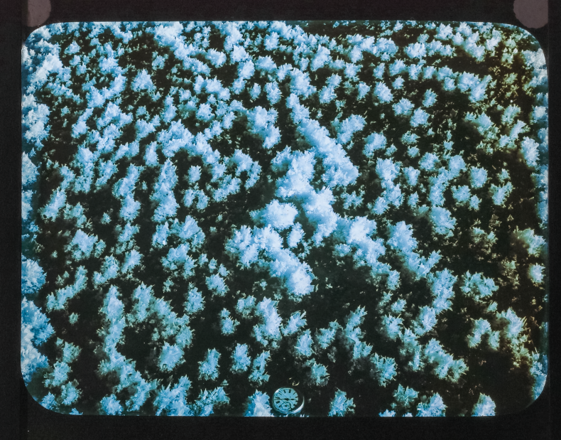 Österreichisches Volkshochschularchiv