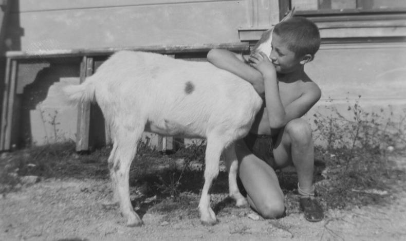 Österreichische Nationalbibliothek, Bildarchiv; OeLFD, Inv. Nr. 46680 / Zahl 59.